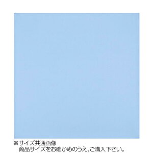 yzgV[ J[NX 30×30cm A3030-YOO G-20 XJCu[