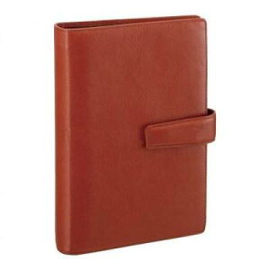 【送料無料】レイメイ藤井 ダ・ヴィンチ システム手帳 聖書サイズ ブラウン DB3005C