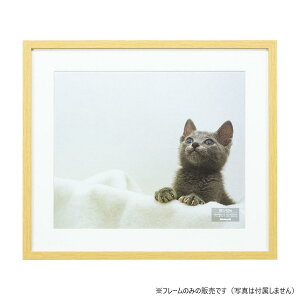 yz iJoV@ؐʐ^z/lc/i`@F-SW-115-N