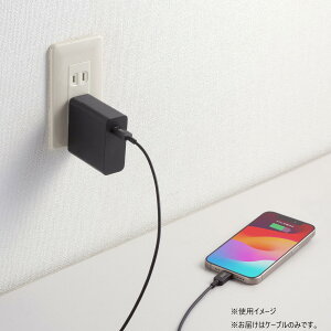 yzTTvC USB2.0 Type-C PD240WΉ P[u KU-CCPE20