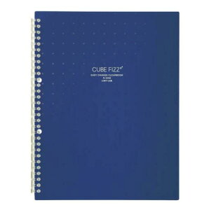 yzLIHIT LAB.(qgu) CUBE FIZZ C[W[`FWEN[ubN A4 S^(^e^) 10|Pbg lCr[ N-6482-11