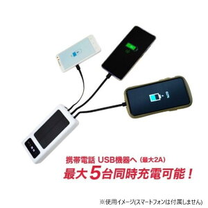 �y���������z�G�o�p���[�u���C�g �\�[���[�p���[�o���NIII+ SYHSPB-3+ 4327-022