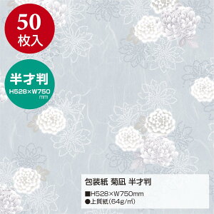 yz^J  e ˔ 49-1808 50