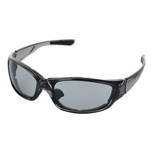 yzDBLTACT Z[teBS[O CgO[ DT-SG-17LG 360118