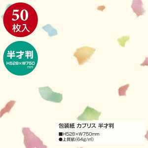 yz^J  JvX ˔ 49-1703 50