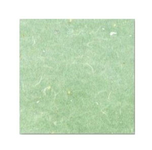 yzA[ebN OP_~ |F 9cmp 100 OPG-63