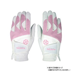 yz  NCT NTGL-3407  M