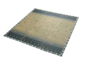 �y���������z �������O �J�[�y�b�g NS�����N 180×180cm BL 1061930043404