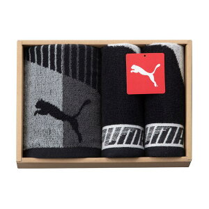 yzPUMA ^I 3Zbg (X|[c×1Enh×2) O[ PU2725GY