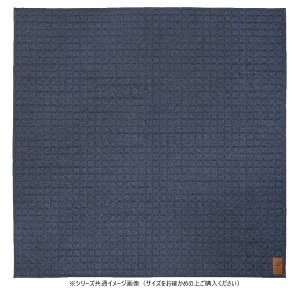 �y���������z �X�E�F�b�g�L���g���O �R�R�� NV ��190×240cm 240638032