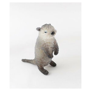 yz 񂩂 킵Aj} RcJE\ M81-1862