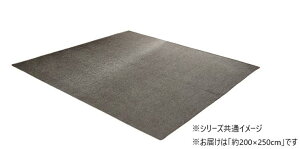 yzVFj[O (200×250cm) O[ 4599439