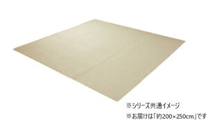 yzVFj[O (200×250cm) AC{[ 4599539