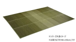 【送料無料】カーペット い草ボリュームラグ クリア (約190×250cm) グリーン 1070480124203