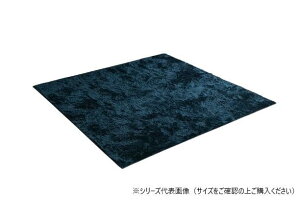 yzO ۉH 2 (185×185cm) zbgJ[ybgΉ lCr[ 3985209