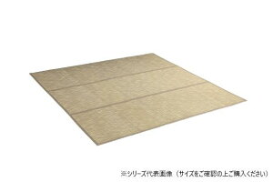 yz|̃J[ybg AC{[ (180×240cm) 1100160144601