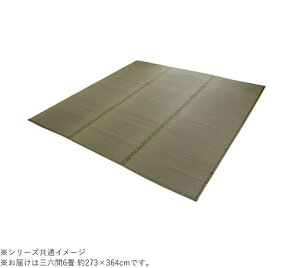 yz Y ~ J[ybg sD usm΁v OZ6 273×364cm 1400010013602