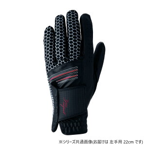 yz[EXCpNg [EXCpNgO[u p ubN 22cm