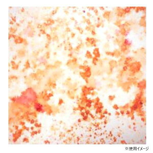 yzǂ̂ sNV[pE_[ o[ƃIW 3233-007