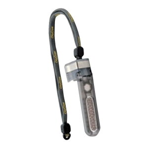 yz PCEzXsAANZT[]΂ʏK1900E@M