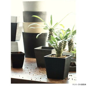 yzSKXNGA|bg ubN 12×H12@3d00032BK