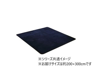 �y���������z �t�����l���L���g���O ��200×300cm �l�C�r�[ 4959349