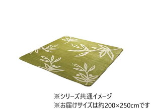 yzO J[ybg 3 􂦂 ԕ [tO[ 200×250cm 1380000000521