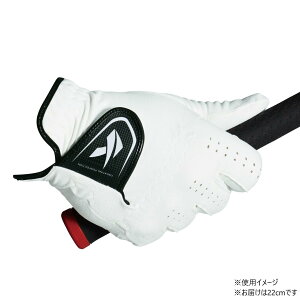 yzLXR DNA XG[h zCg 22cm