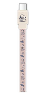 yzs[ibc PD60WΉ USB2.0 Type-CP[u sN SNGG-44PK