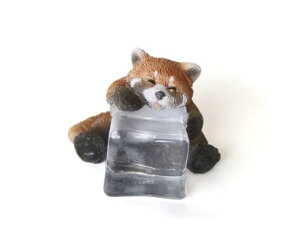 yzACXAj} bT[p_ DE047908