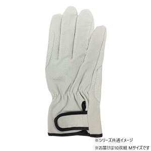 yz쏤 G[X ؏v }WbNe[v Aet 10og MTCY AG547-10P