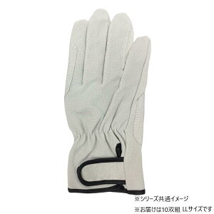 yz쏤 G[X ؏v }WbNe[v Aet 10og LLTCY AG547-10P