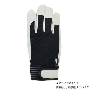 yz쏤 G[X ؏v w^Cv }WbNe[v 10og LTCY AG549-10P