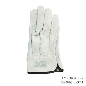 yz쏤 G[X v OD Ae LTCY AG4601