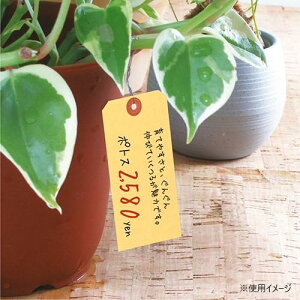 yz^J ׎D  Ntg ꌊ 1000P 25-6130