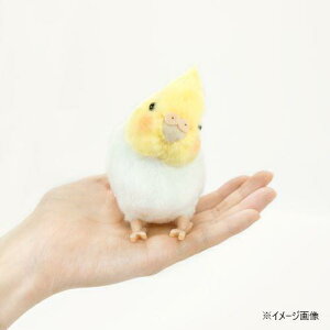 yzg Ƃ̂ ʂ IJCR 180092