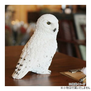 yz ybgoN SNOWY OWL 1278