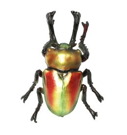 【送料無料】FOREST MAG RAINBOW BEETLE ニジイロクワガタ　クリップホルダー 57949