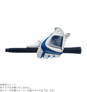 yz VWGL-2651  WHS