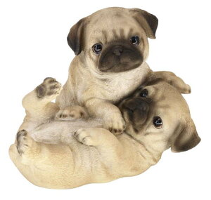 yzhbOI[ig pO yA 14258