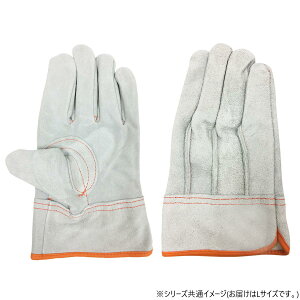 yz 쏤 G[X v OD  LTCY AG4807