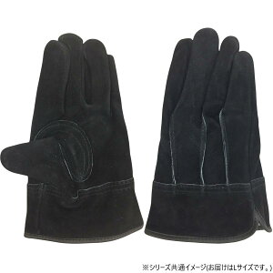 yz 쏤 G[X v ICH OD   LTCY AG4811