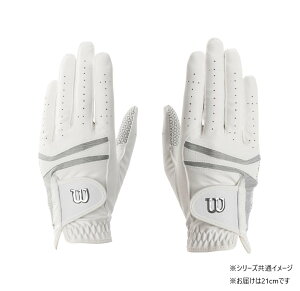 yz EC\@ptH[}XlI fB[XO[u p zCg/Vo[ 21cm