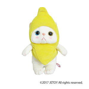 yzchoo choo RX`[ M oii