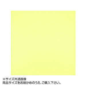 yzgV[ J[NX 19×19cm A1919-YOO G-47 Cg