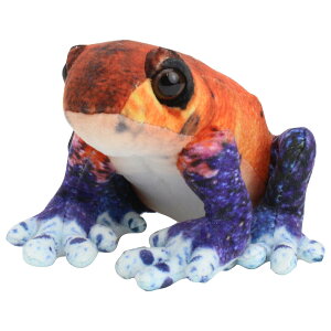 yzChOtB ʂ C`ShNKGiS) SA018