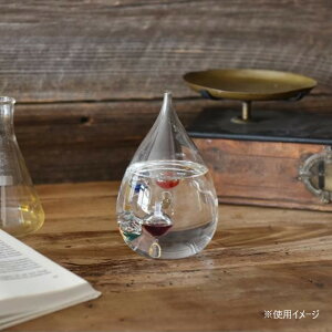 yzJY Fun Science t@TCGX KXt[gxv L 333-204