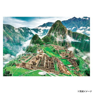 yz ro[ iCOWO\[pY }`s` 1000}CNs[X M81-576