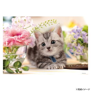 yz ro[ ybgWO\[pY 킹̓ 1000}CNs[X 1000M-008