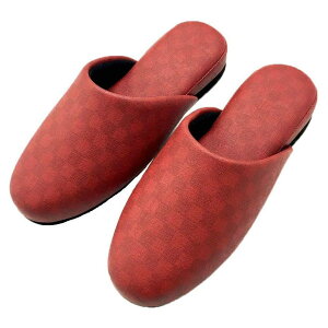 yz ZR[ FEEL FOOT `FbJ[ Xbp MTCY 25cm@bhE780682